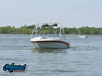 25411-4.jpg