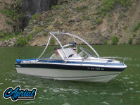 1988 Blue Water with Ascent Wakeboard Tower