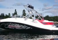 2009 Sea-Doo 230 Wake with FreeRide Wakeboard Tower