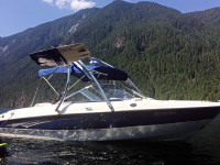 2008 Bayliner 185 wakeboard tower with racks and speakers