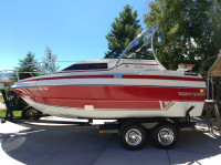 1986 Mark Twain MTX225 with Ascent Wakeboard Tower